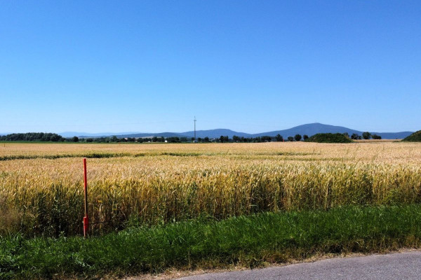 powiat wrocławski, Pustków Wilczkowski, Ogrodowa, Działka budowlana z widokiem na Ślężę