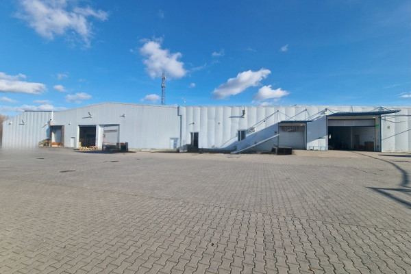 powiat brzeziński, Brzeziny, BRZEZINY - MAGAZYNY WYNAJEM od 500 m2 do 6500 m2