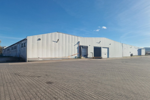powiat brzeziński, Brzeziny, BRZEZINY - MAGAZYNY WYNAJEM od 500 m2 do 6500 m2