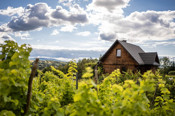 powiat Kielce, Kielce, Rynek, Lokal na sprzedaż