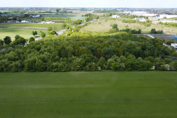 powiat oławski, Stanowice, Działka przemysłowa